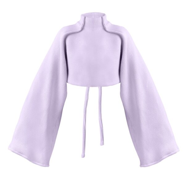 Cropped Lilac Rib Knit Jumper Way07